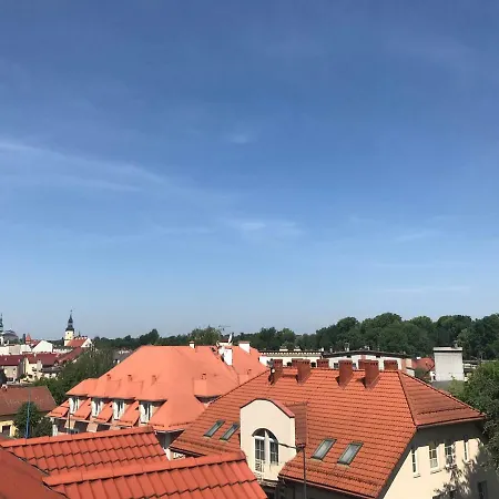 公寓 Apartament Zoja 普什奇纳