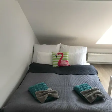 Apartament Zoja * 普什奇纳