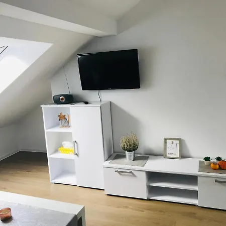 公寓 Apartament Zoja 普什奇纳