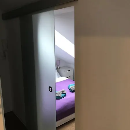 Apartament Zoja 公寓